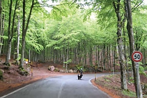 Monte Amiata