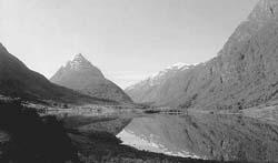 Norwegian Fjord