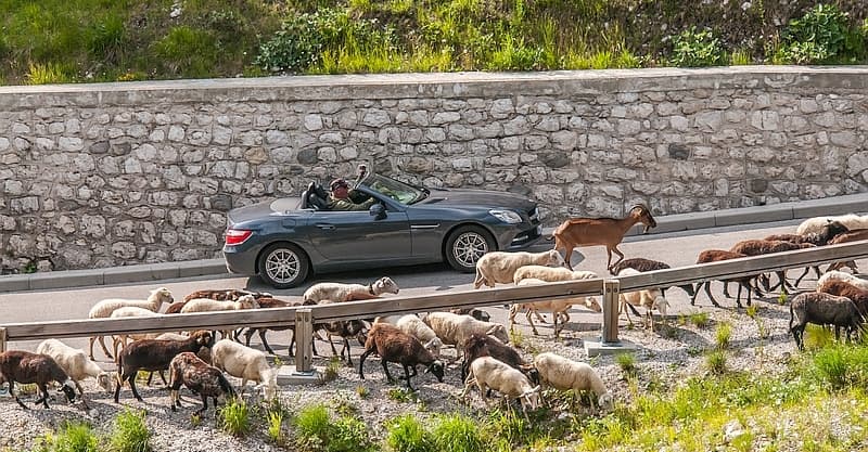 Traffic Jam