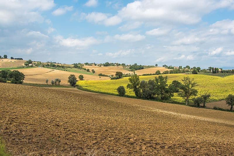 The Tuscan countryside