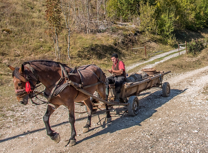 Heading to work in Wallacia, Romania