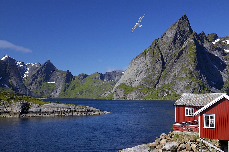 A fisherman's shed in the Lofoten Islands
