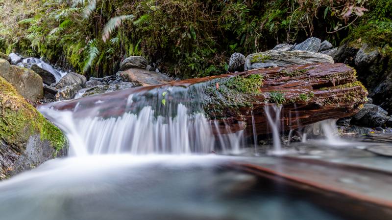 Pretty creek on New Zealand's West coast