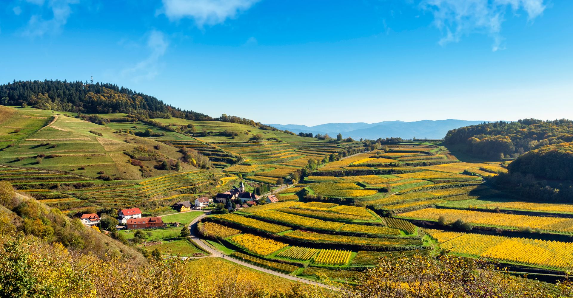 A village in the Black Forest